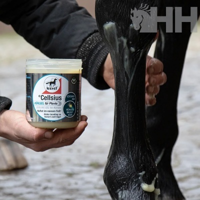 Gel de arrefecimento Leovet aplicado na perna de um cavalo preto