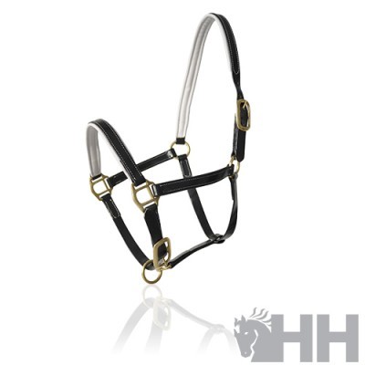 Cabresto para cavalo em couro preto com ferragens douradas