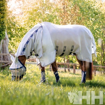 Cavalo castanho com cobertor branco de proteção contra insetos e focinheira, a pastar na relva