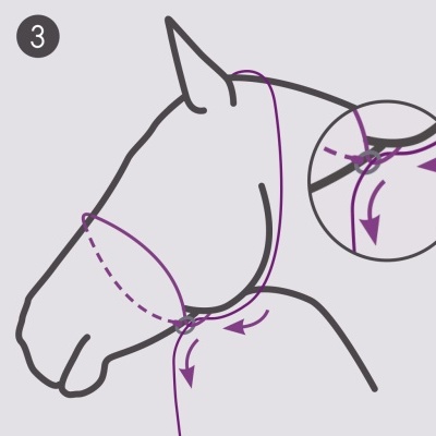 Ilustração de cabeça de cavalo com indicações para colocar uma venda