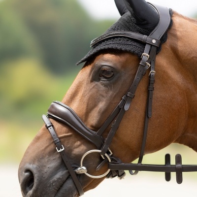 Cavalo castanho com cabresto e bridão em couro castanho-escuro e touca preta