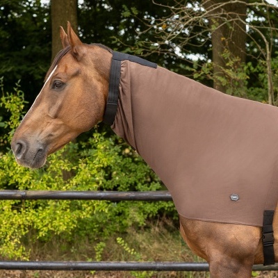 Cavalo castanho com manta protetora castanha em ambiente exterior com cercado de madeira e vegetação