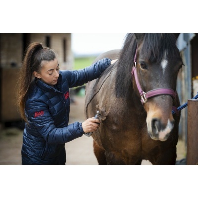 Mulher a escovar cavalo castanho num estábulo