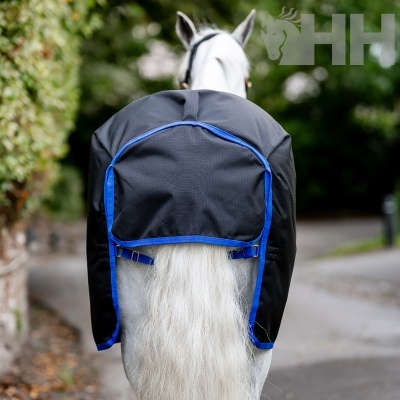 Cobertor preto com bordas azuis para cavalo branco com cauda visível