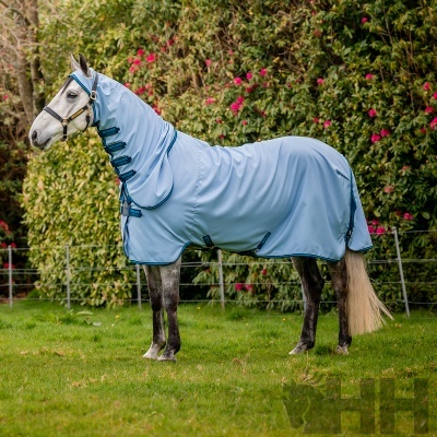 Cavalo com cobertura protetora azul claro em campo verde