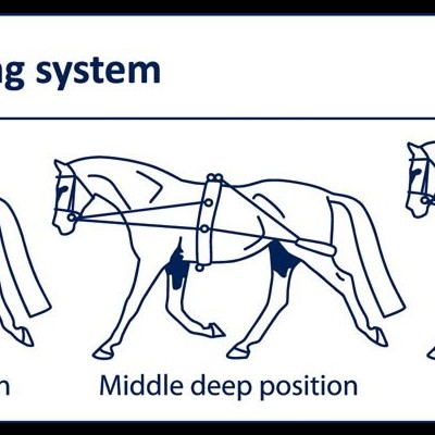 Ilustração sistema de lunging para cavalos com três posições diferentes e texto instrutivo