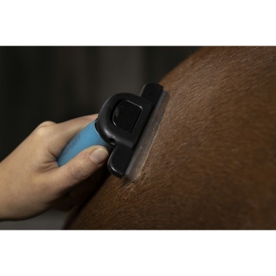 Escova azul e preta a remover pêlo castanho de animal com pelo curto castanho