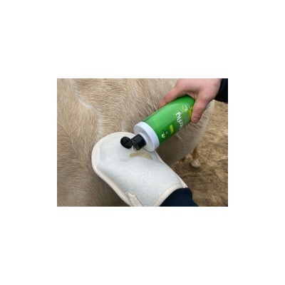 Mão a aplicar produto Puurr num cavalo usando luva branca