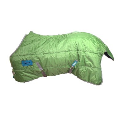 Capa de cão verde com fivelas e rótulos azuis