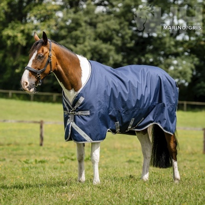 Cavalo com manta azul-marinho de exterior com alças e fivelas, campo verde e árvores ao fundo