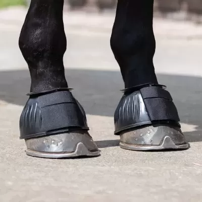 Pernas de cavalo com capas de proteção nos cascos pretas