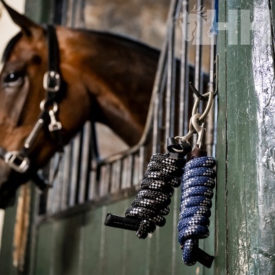 cordas para cavalos preta e azul com padrão branco penduradas em suporte verde no estábulo com cavalo castanho ao fundo