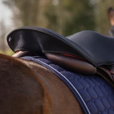 Sela de montar preta e castanha sobre manta azul num cavalo castanho