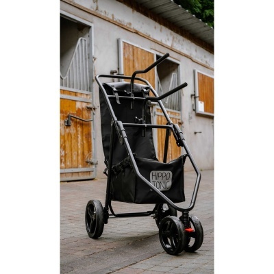Carrinho de passeio preto em ambiente exterior com portas de madeira ao fundo