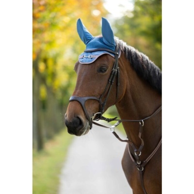 Cavalo castanho com bridão e touca azul ao ar livre