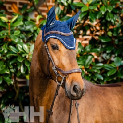 Cavalo castanho com touca azul e cabeçada de couro castanho junto a vegetação