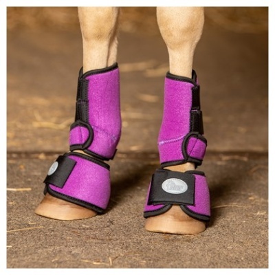 Proteções eqüestres cor de rosa em patas dianteiras de cavalo