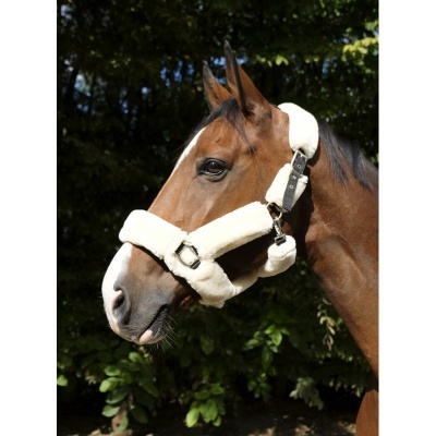 Cavalo castanho com cabresto branco acolchoado