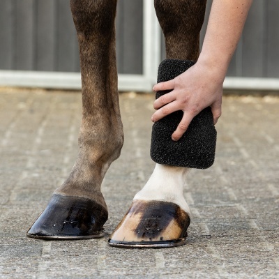Patas dianteiras de cavalo e mão com faixa preta de proteção
