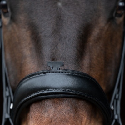 Cabeça de cavalo com freio preto em couro.