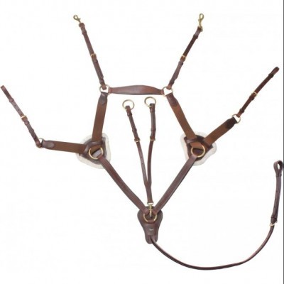Conjunto de arreios em couro castanho com fivelas metálicas douradas