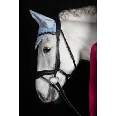 Cavalo branco com bridão preto e touca azul