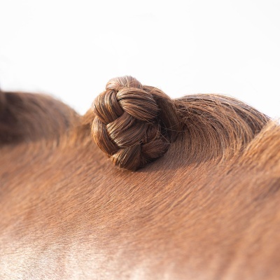 Trança de cabelo castanho em nó sobre pelagem castanha de animal