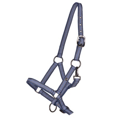 cabresto de tecido azul com riscas pretas e fivela ajustável para animais