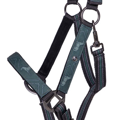 Cabresto para cavalo preto e verde com argolas metálicas