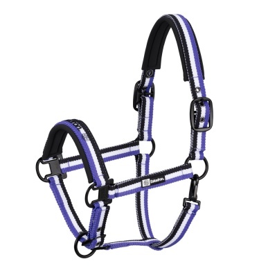 Cabresto de cavalo em nylon com riscas preto, branco e roxo e fivelas metálicas pretas
