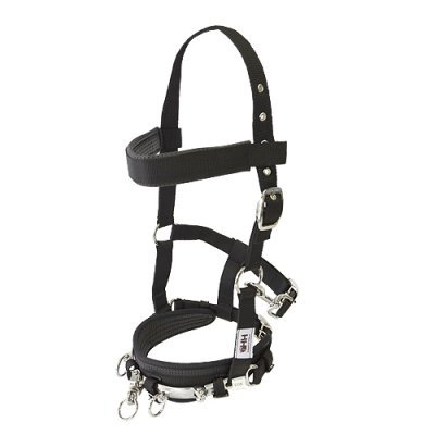 Cabresto preto de nylon acolchoado com fivelas e argolas metálicas.
