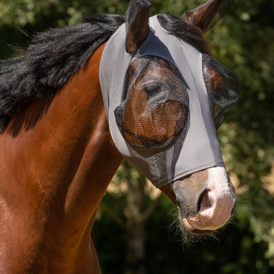 Cavalo com máscara de proteção em ambiente externo