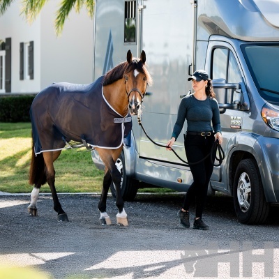 Cavalo com manta azul e mulher vestida de preto ao lado de carrinha cinzenta