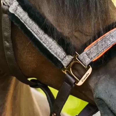 Peitoral para cavalo com tecido cinza e veludo preto