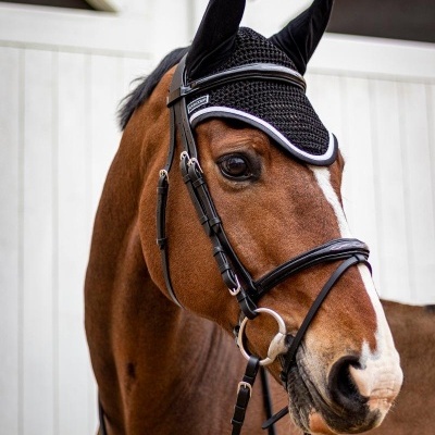 Cabeça de cavalo castanho com venda preta e faixa de malha nas orelhas