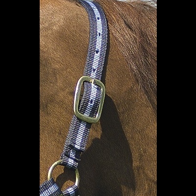 Cabeçada de cavalo azul e branca com fivela metálica numa cabeça de cavalo castanho