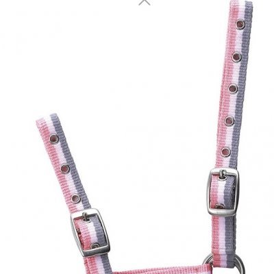 Cabresto de tecido com riscas rosa, branco e cinzento e fivelas metálicas prateadas