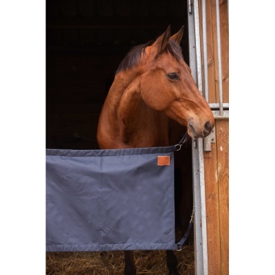 Cavalo castanho atrás de uma porta de madeira com faixa azul escura.