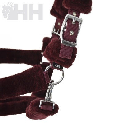 retrato de um restraio para cavalo bordô com fivelas prateadas