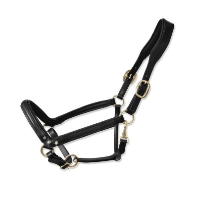 Cabresto para cavalo preto com fivelas douradas