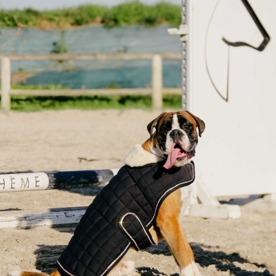 Cão boxer com casaco preto acolchoado sentado na areia com vedação e placa branca ao fundo