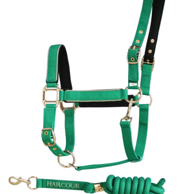 Cabresto e guia para cavalo verde com ferragens douradas e texto HARCOUR