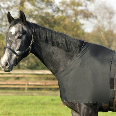 Cavalo preto com cobertor de pescoço preto ao ar livre perto de cerca de madeira