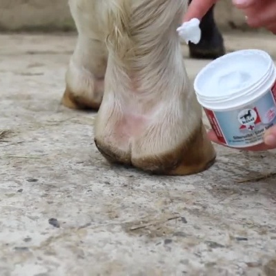 Pessoa aplicando pomada branca no pelo e patas de um cavalo.