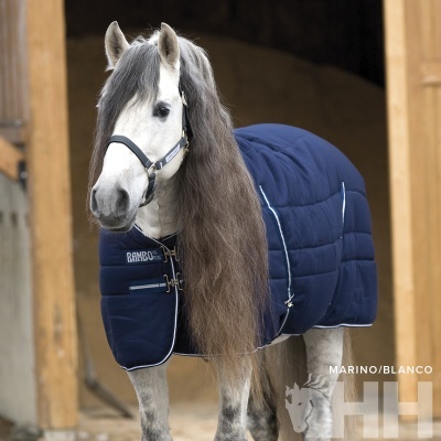 Cavalo branco a usar manta azul-marinho com etiqueta RAMBO à entrada de estábulo de madeira