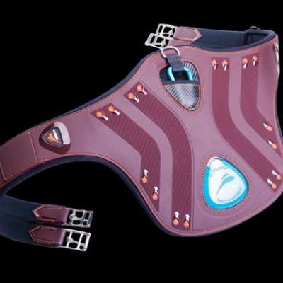 Peitoral roxo para cão com fivelas e detalhes metálicos