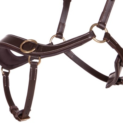 Cabresto de cavalo em couro castanho escuro com argolas douradas