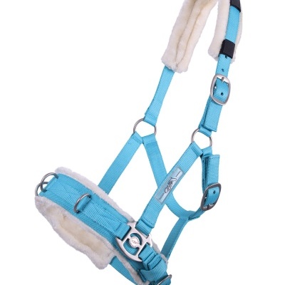 cabresto azul para cavalo com forro branco e fivelas metálicas