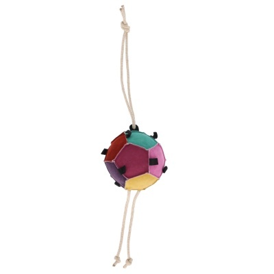 Brinquedo para cães colorido em forma de bola com corda de pendurar