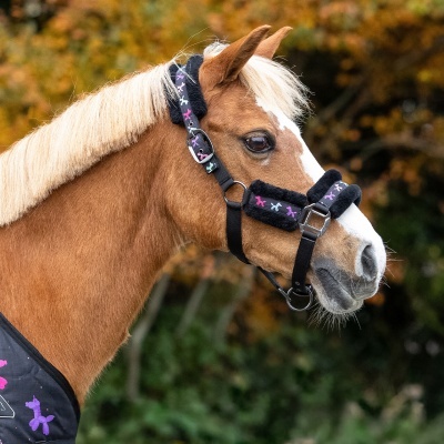 Cavalo com pelagem castanha e brida preta acolchoada com balões coloridos